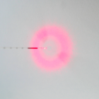 fibre radiale